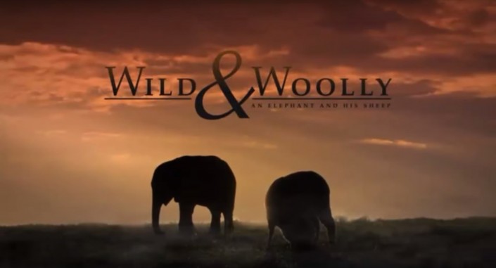wildandwoolly